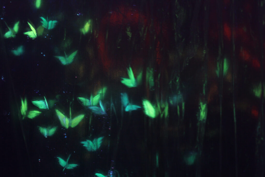 "Butterflies" installation — fluorescent painted, cut from polyester sheets and placed on mirrored paper
